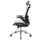 Chaise de bureau en maille avec fonction de verrouillage | Hauteur réglable, ergonomique, pour bureau à domicile